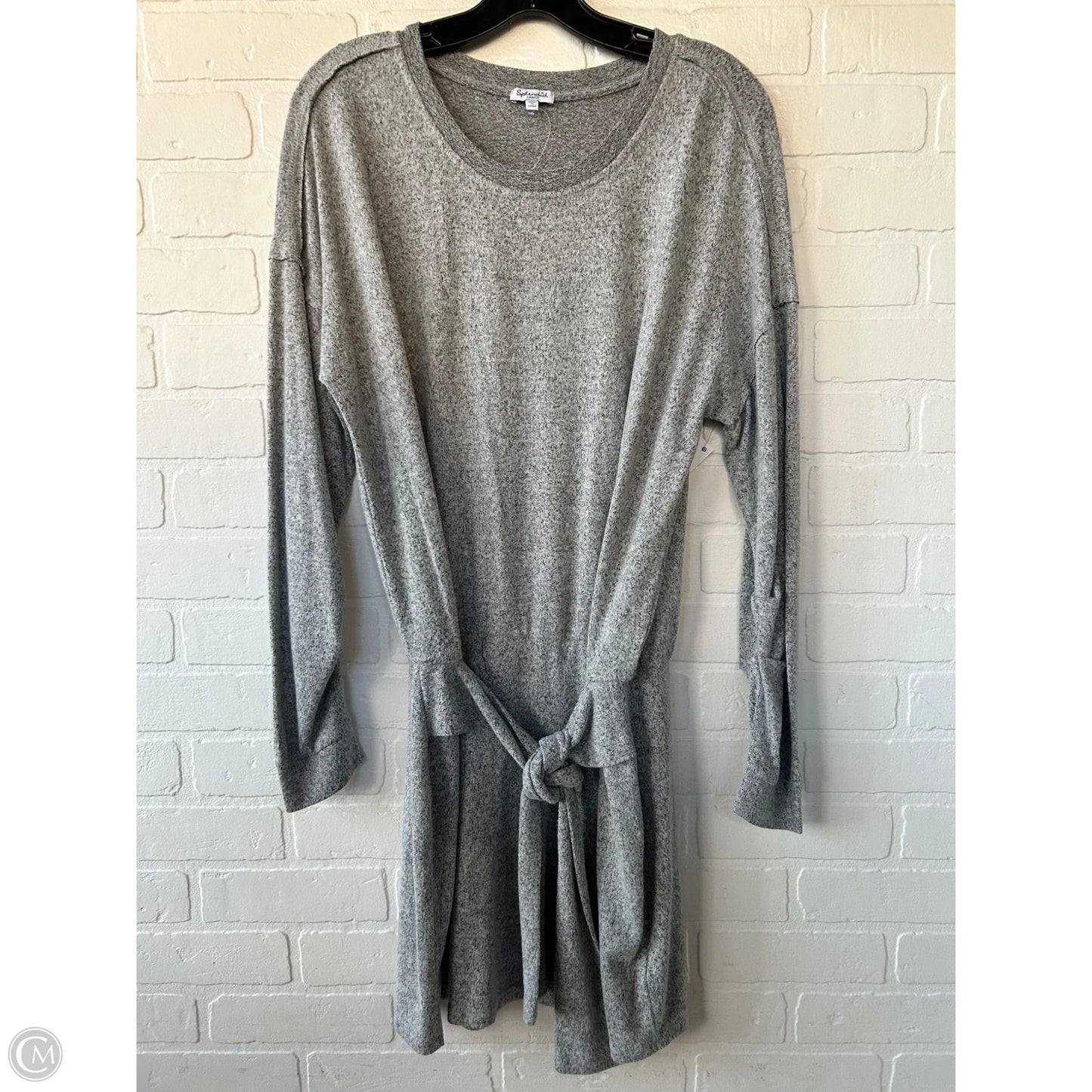 Dress Casual Short By Splendid In Grey, Size: L