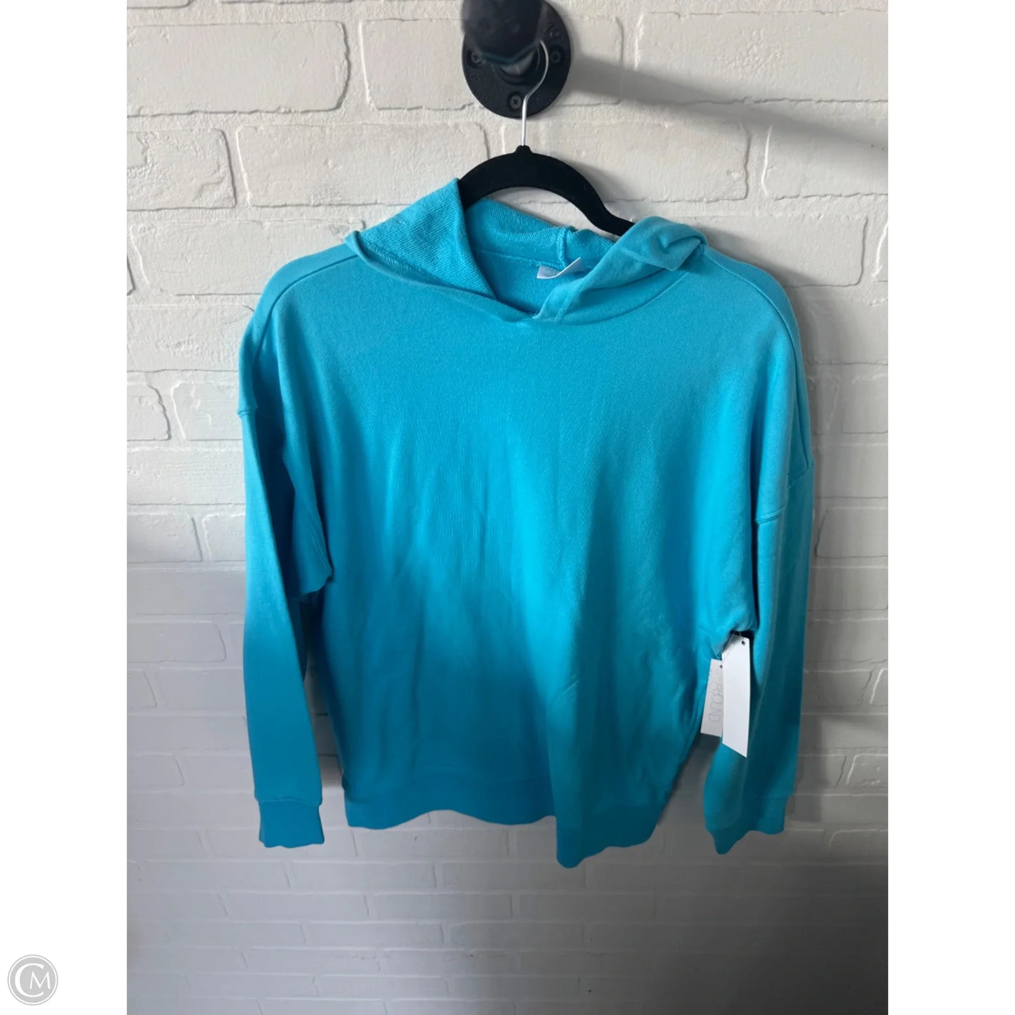 Sweatshirt Hoodie By Abound In Blue, Size: S