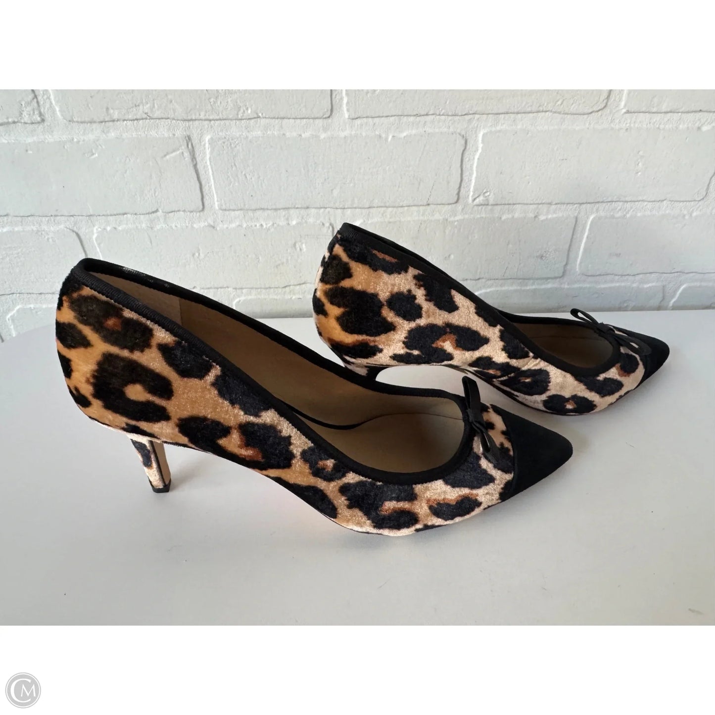 Shoes Heels Kitten By Ann Taylor In Animal Print, Size: 8.5