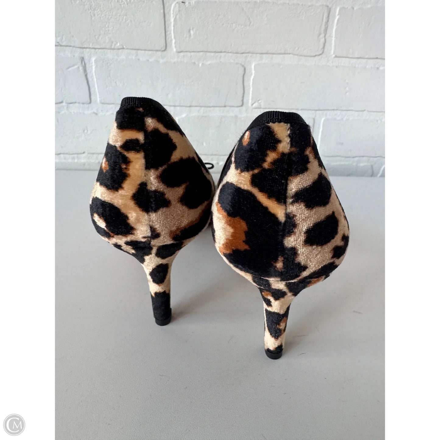Shoes Heels Kitten By Ann Taylor In Animal Print, Size: 8.5