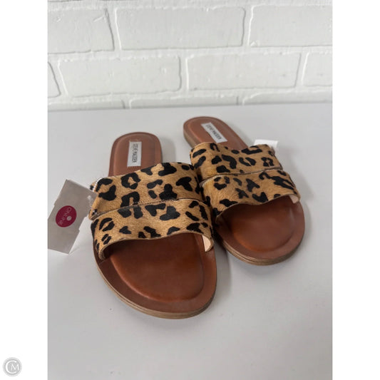 Sandals Flats By Steve Madden In Animal Print, Size: 9.5