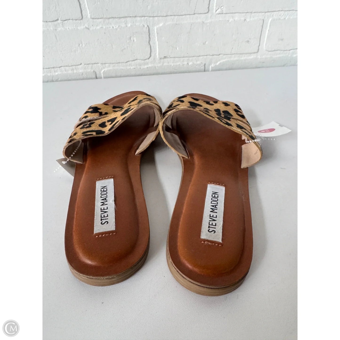 Sandals Flats By Steve Madden In Animal Print, Size: 9.5