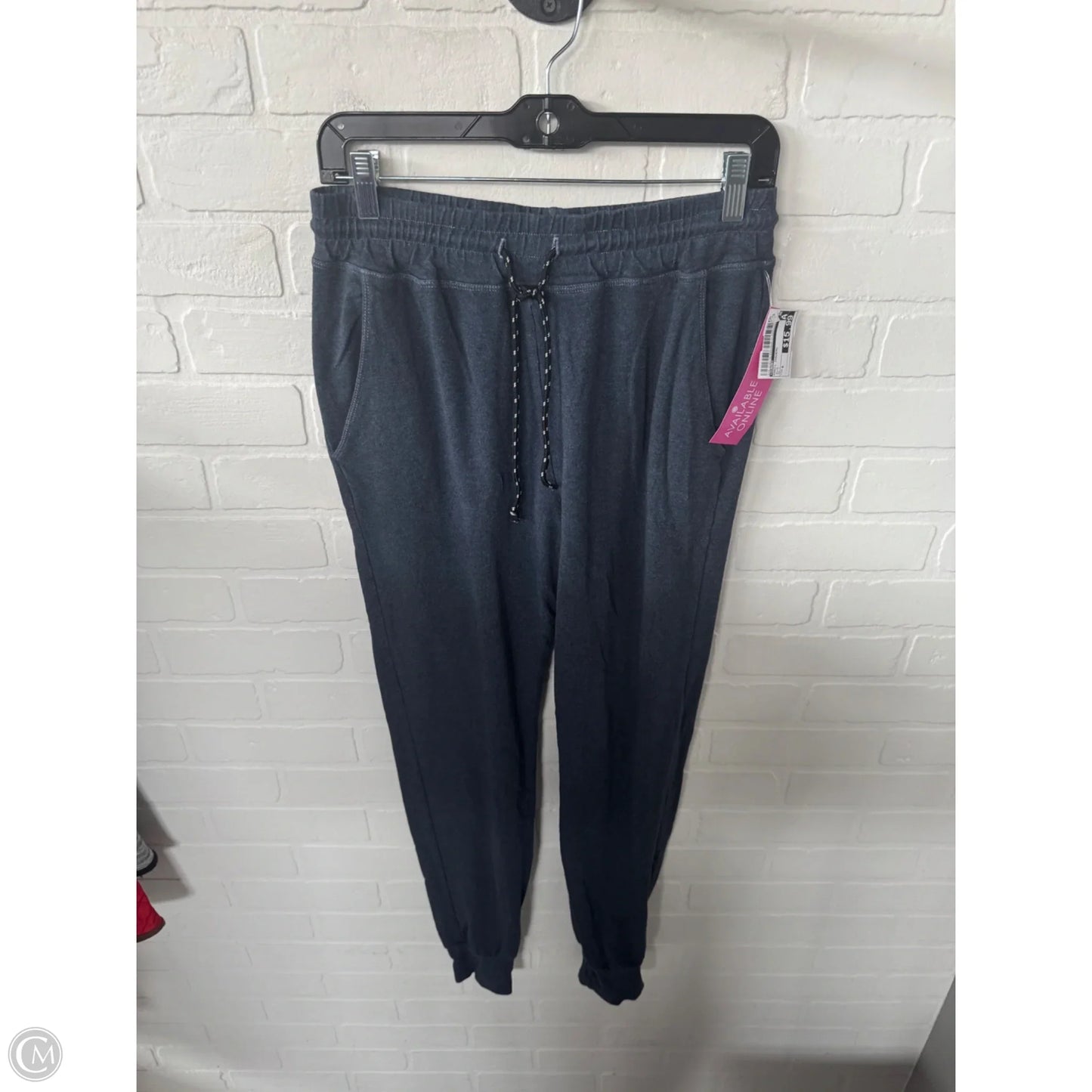 Pants Joggers By Sundry In Blue, Size: 4