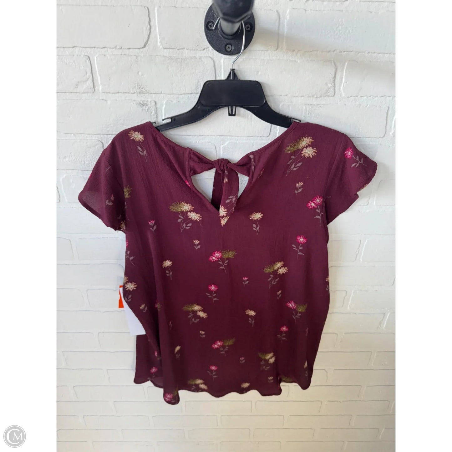 Top Short Sleeve By Blu Pepper In Red & Tan, Size: 1x