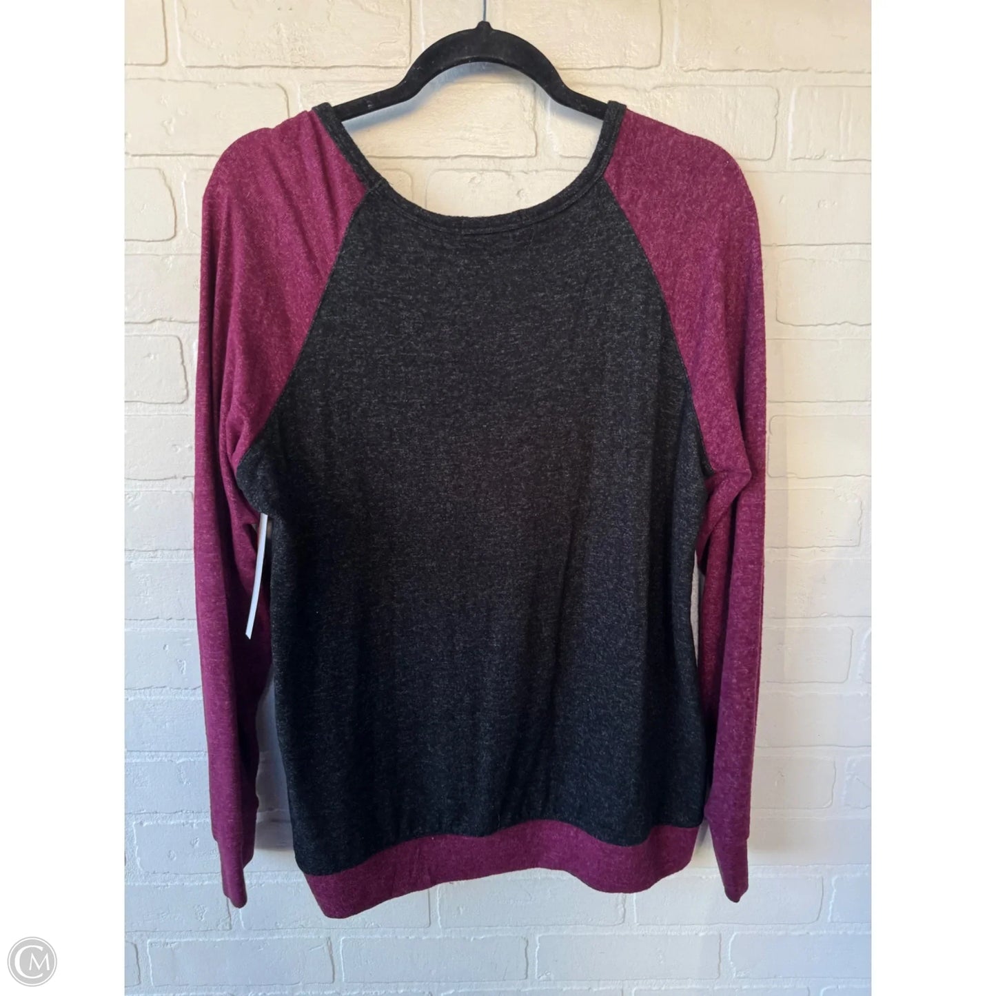 Top Long Sleeve By Buffalo David Bitton In Grey & Purple, Size: L