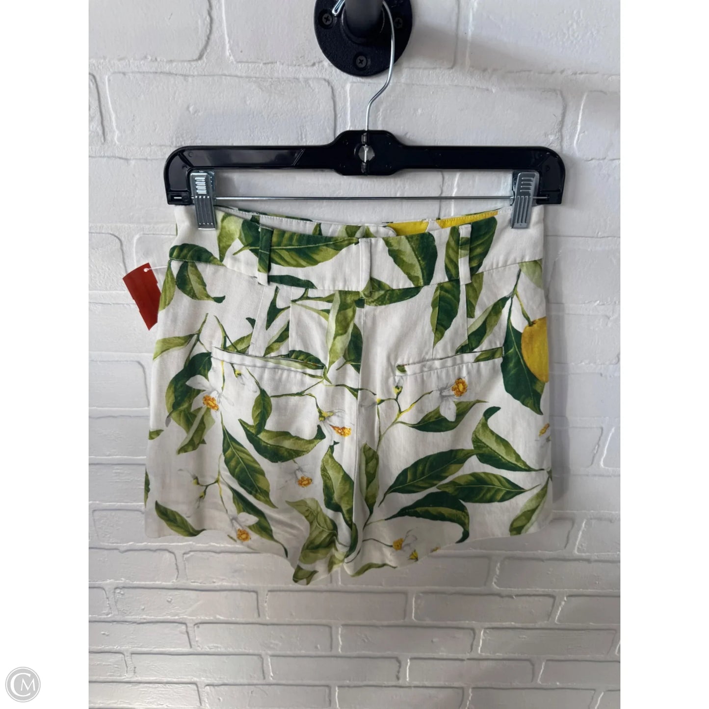 Shorts By Express In Green & Tan, Size: 2