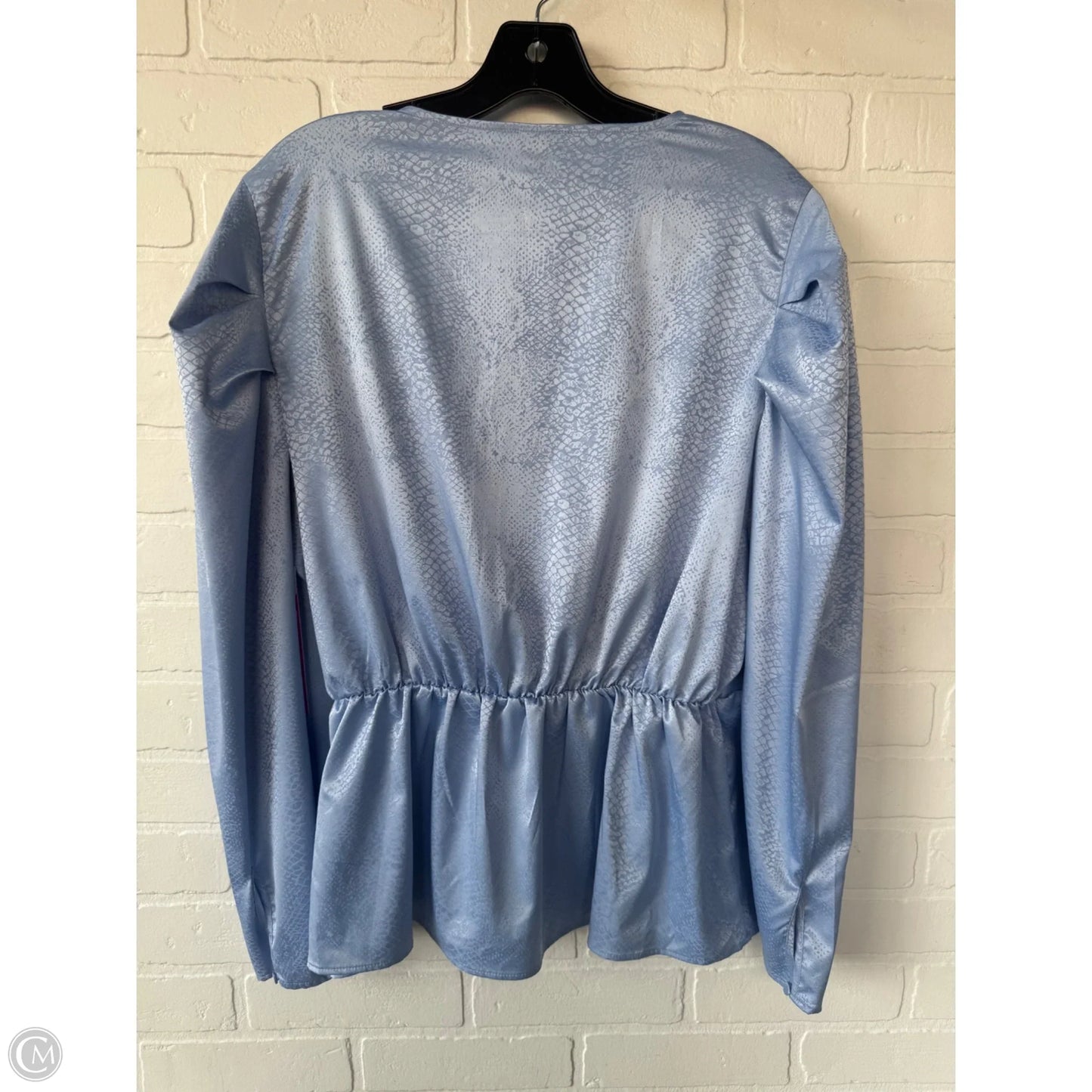 Top Long Sleeve By Express In Blue, Size: Xl
