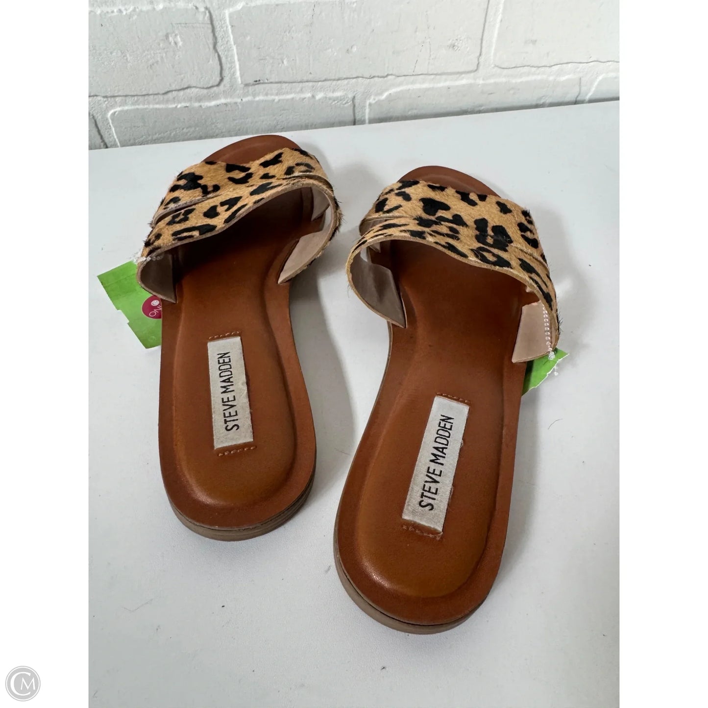 Sandals Flats By Steve Madden In Animal Print, Size: 9.5