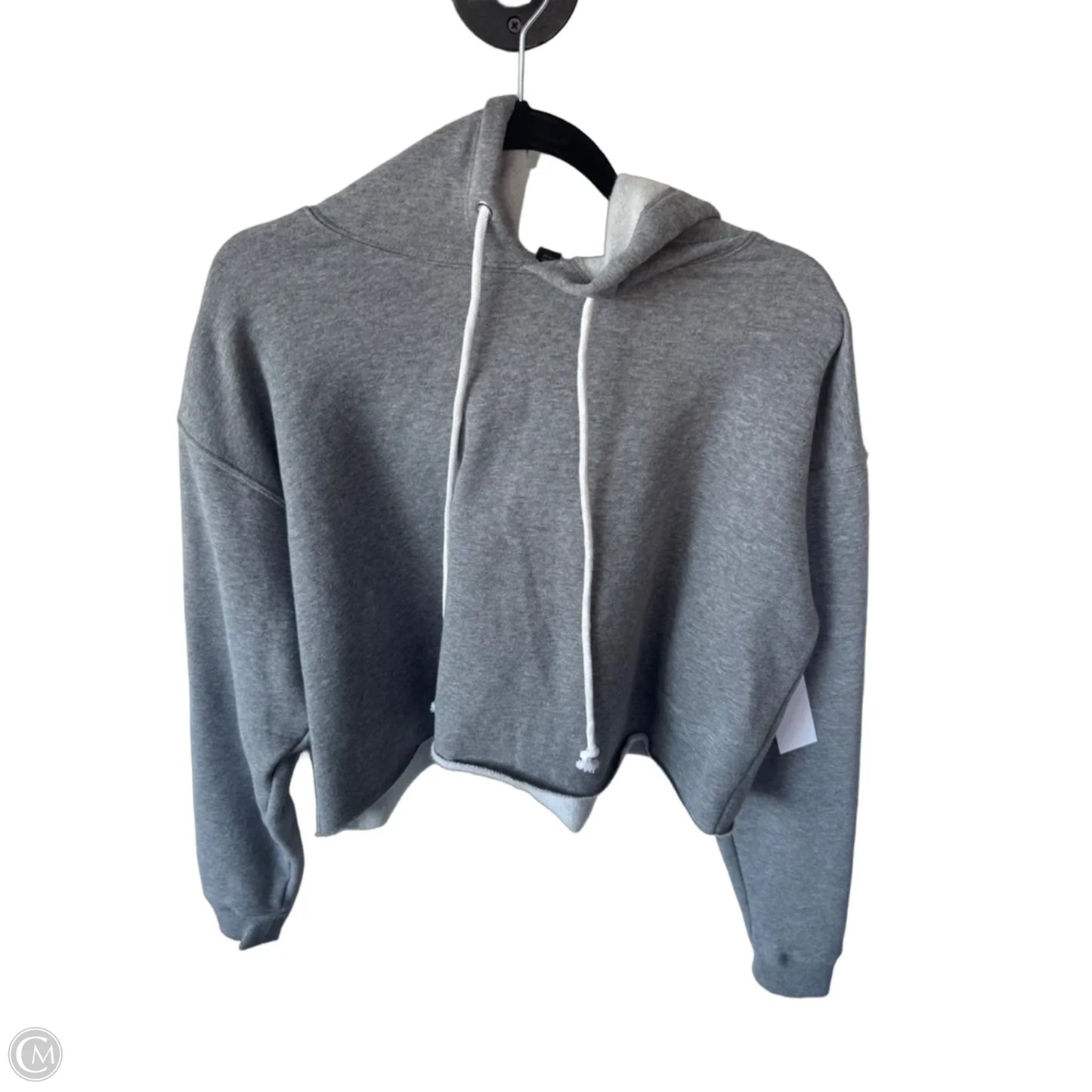 Sweatshirt Hoodie By Wild Fable In Grey, Size: L
