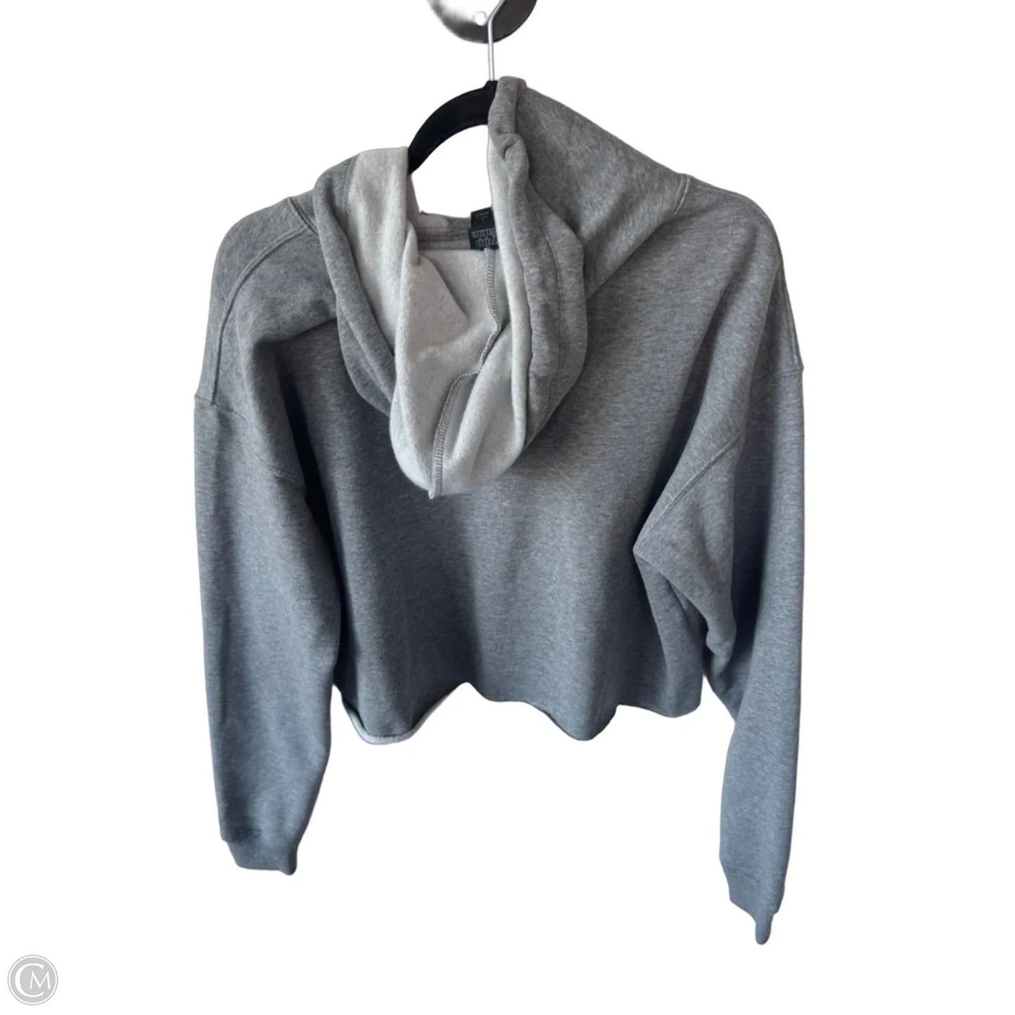 Sweatshirt Hoodie By Wild Fable In Grey, Size: L