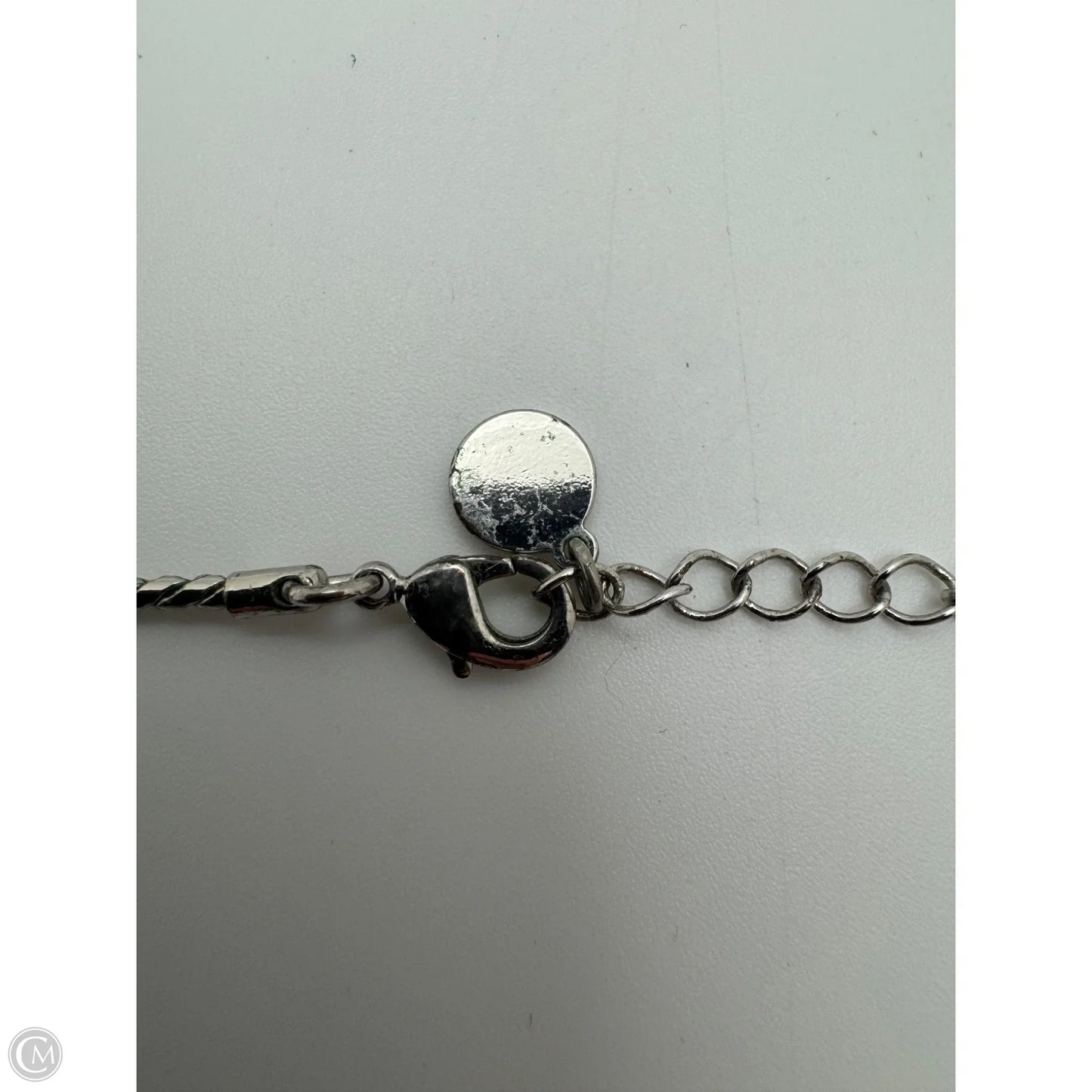 Necklace Chain By Charter Club