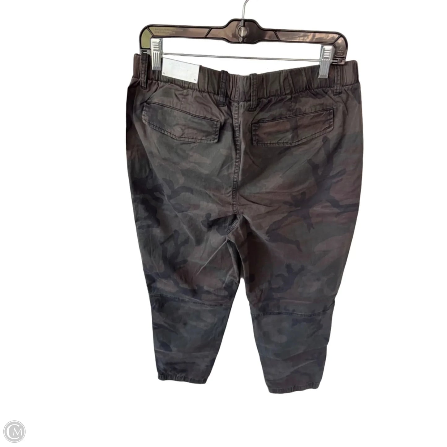 Pants Joggers By Chicos In Camouflage Print, Size: 6