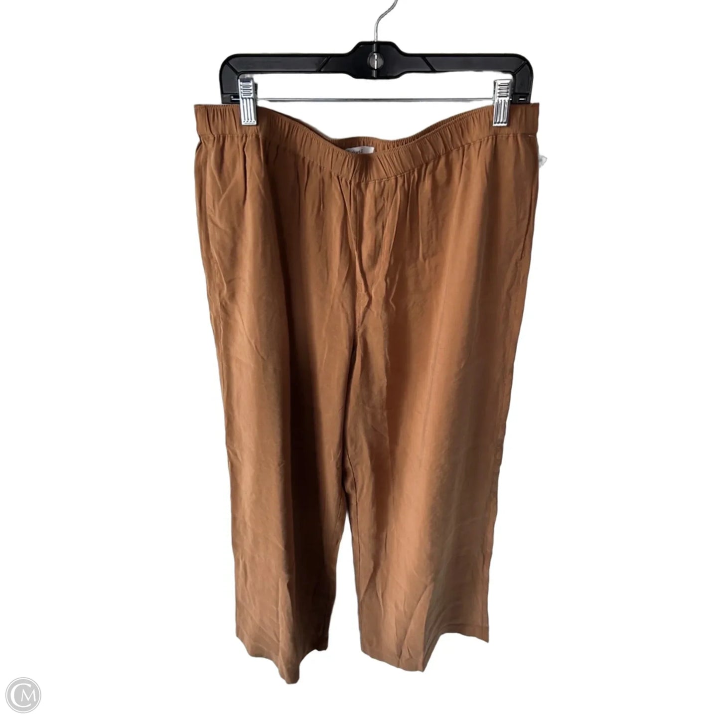 Pants Wide Leg By Madewell In Tan, Size: 12