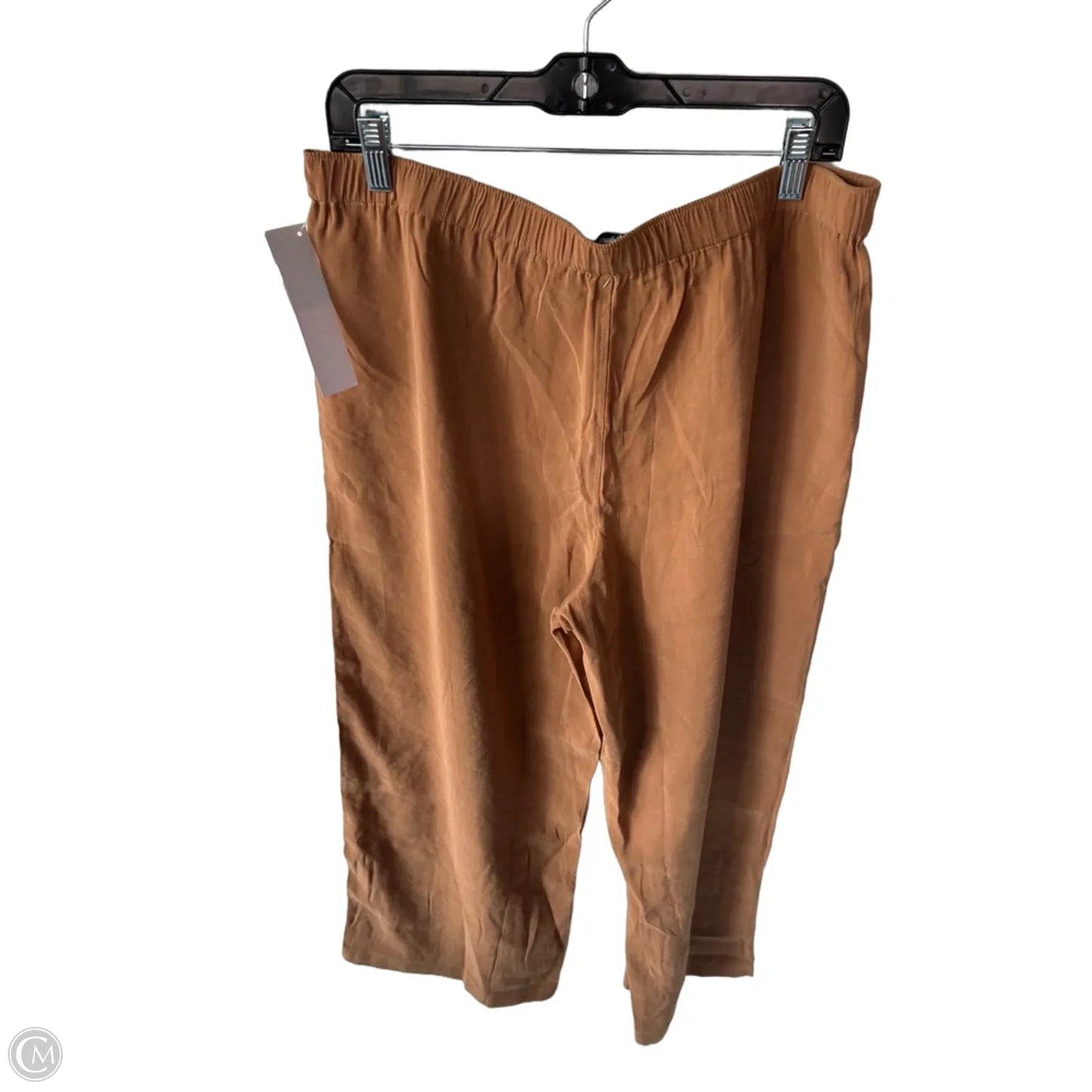 Pants Wide Leg By Madewell In Tan, Size: 12