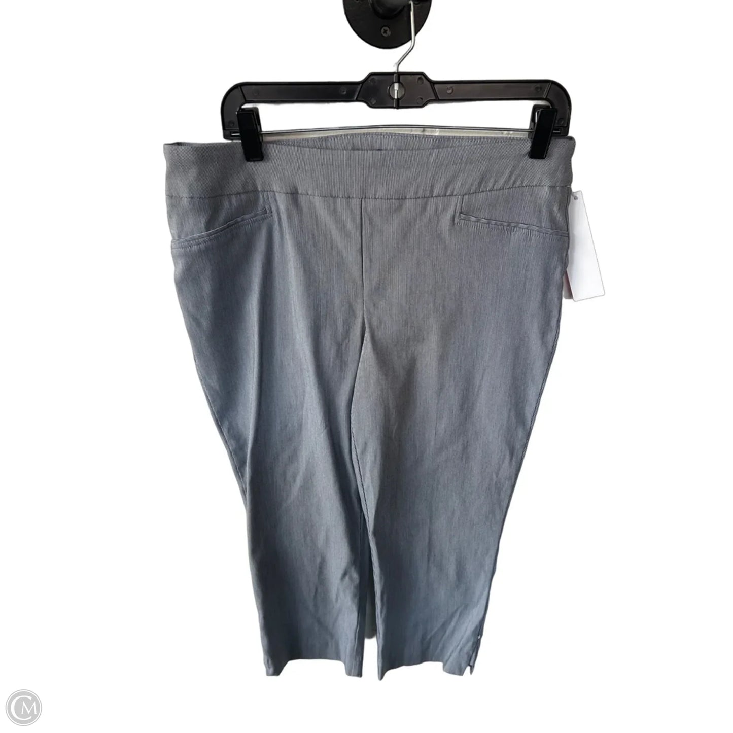 Pants Other By Hilary Radley In Grey, Size: 12