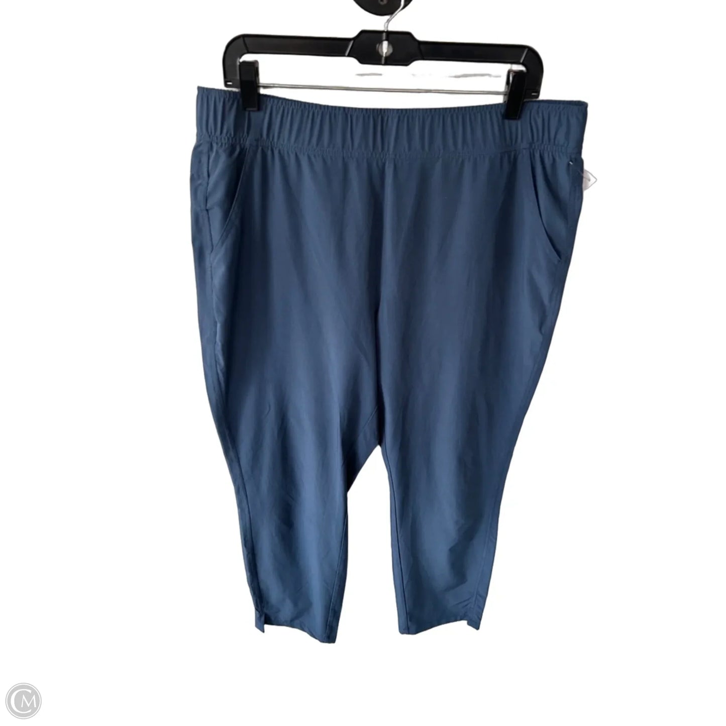 Athletic Pants By Eddie Bauer In Blue, Size: L
