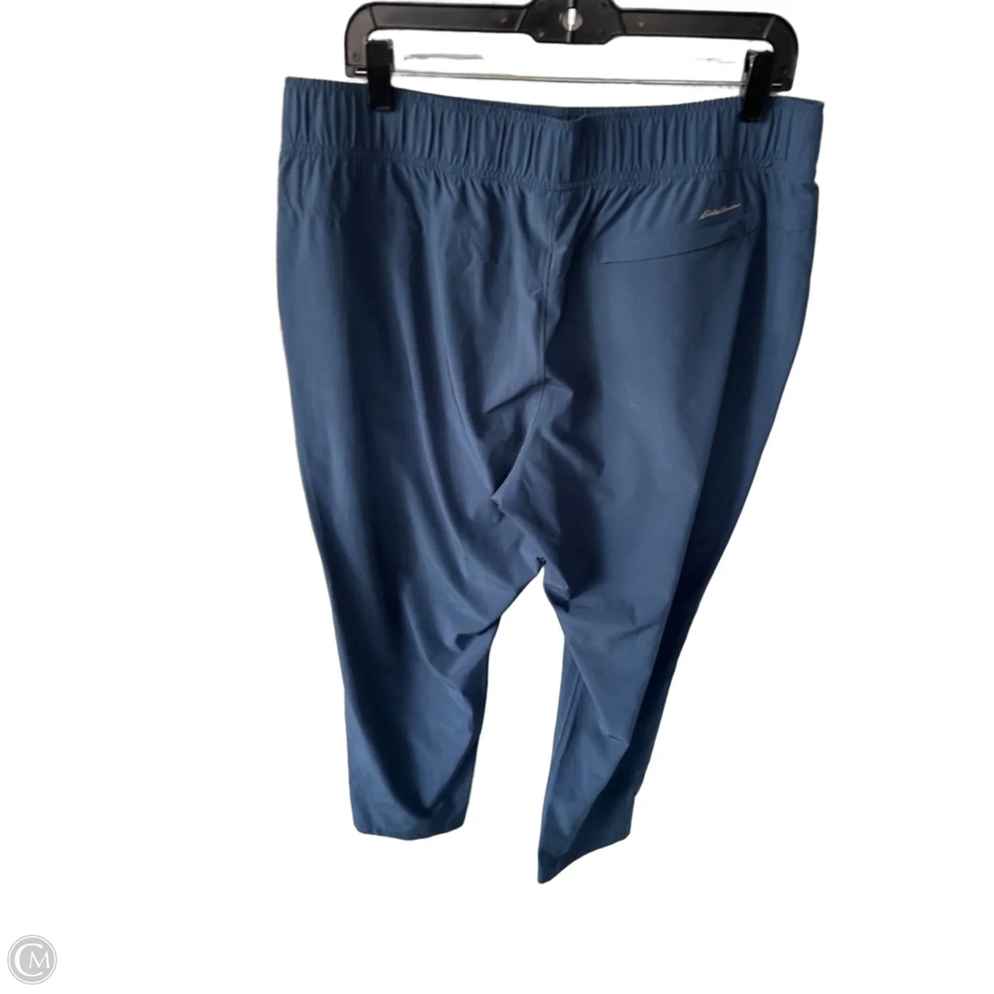 Athletic Pants By Eddie Bauer In Blue, Size: L