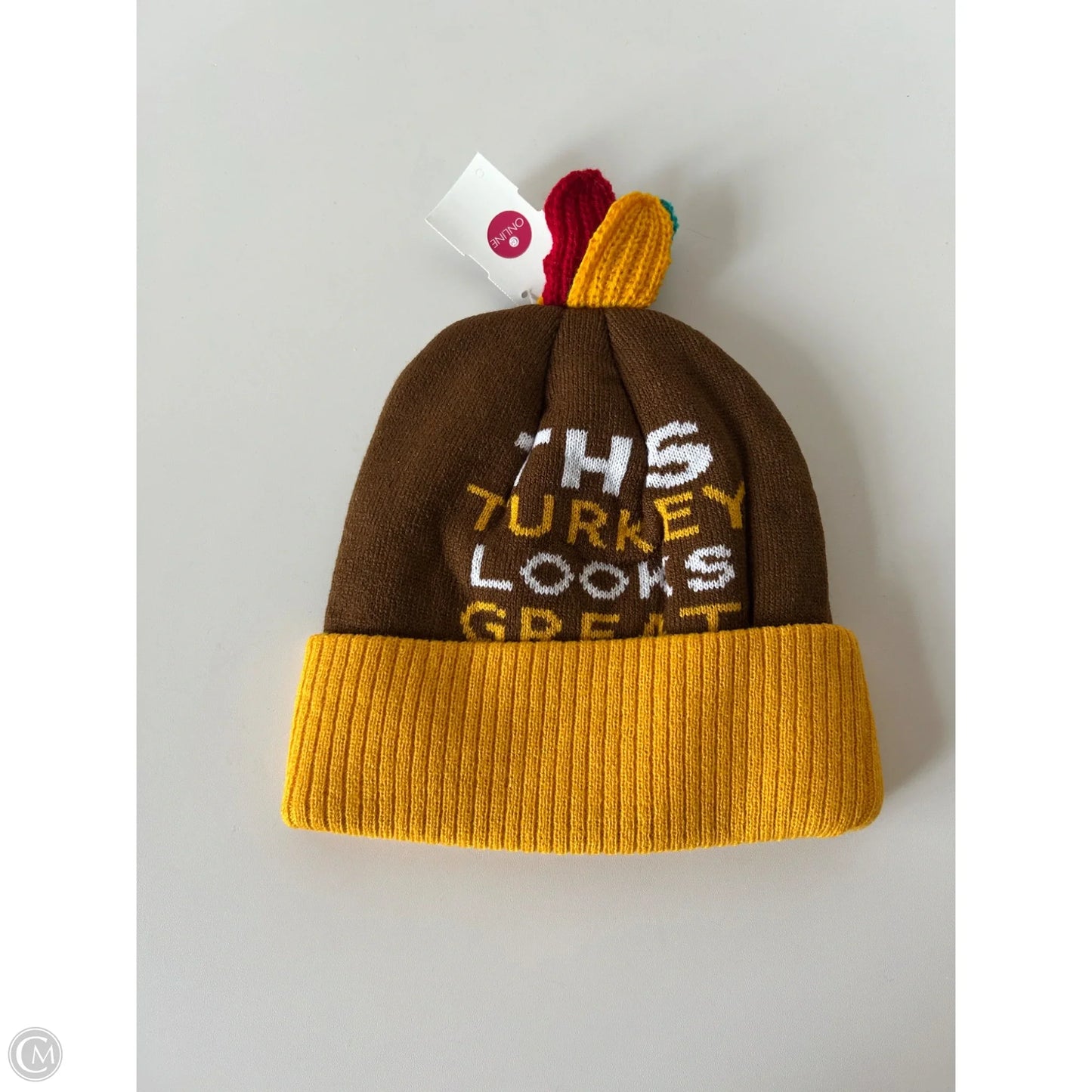 Hat Beanie By Clothes Mentor