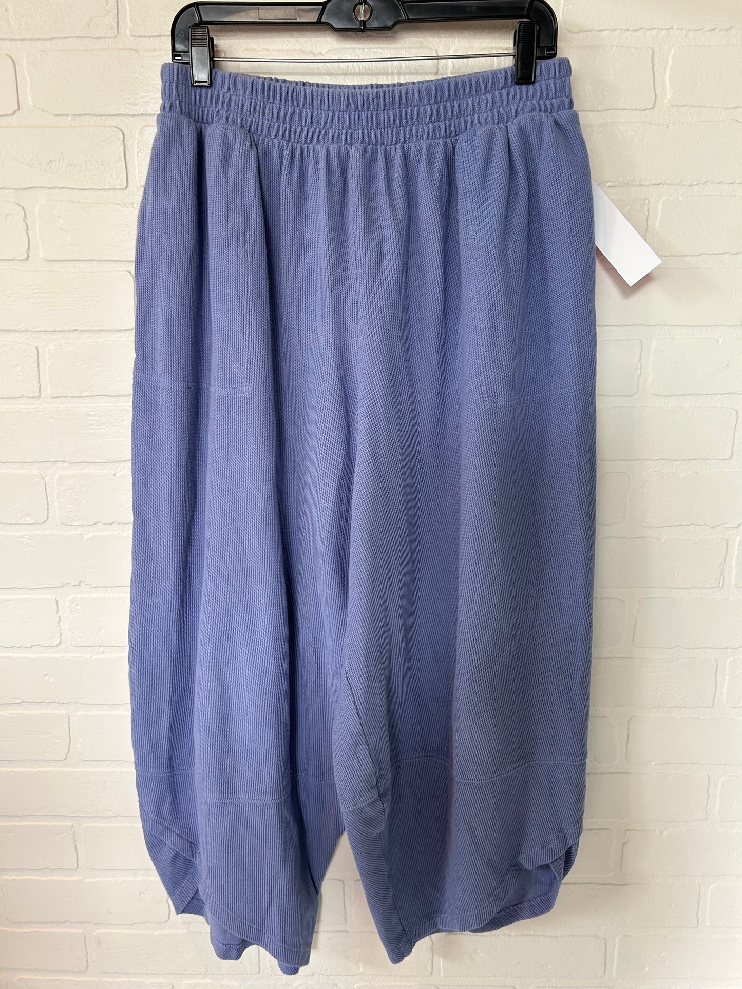 Blue Pants Other Free People, Size 12