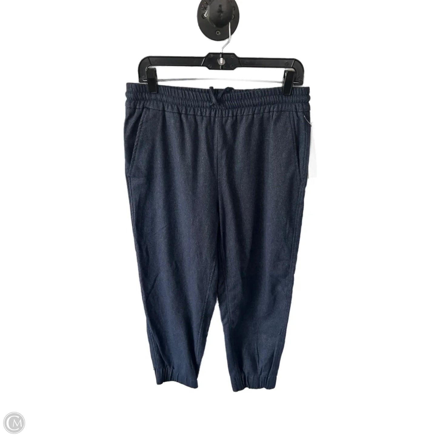 Pants Joggers By Zara In Blue, Size: 12