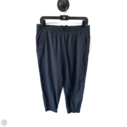 Pants Joggers By Zara In Blue, Size: 12