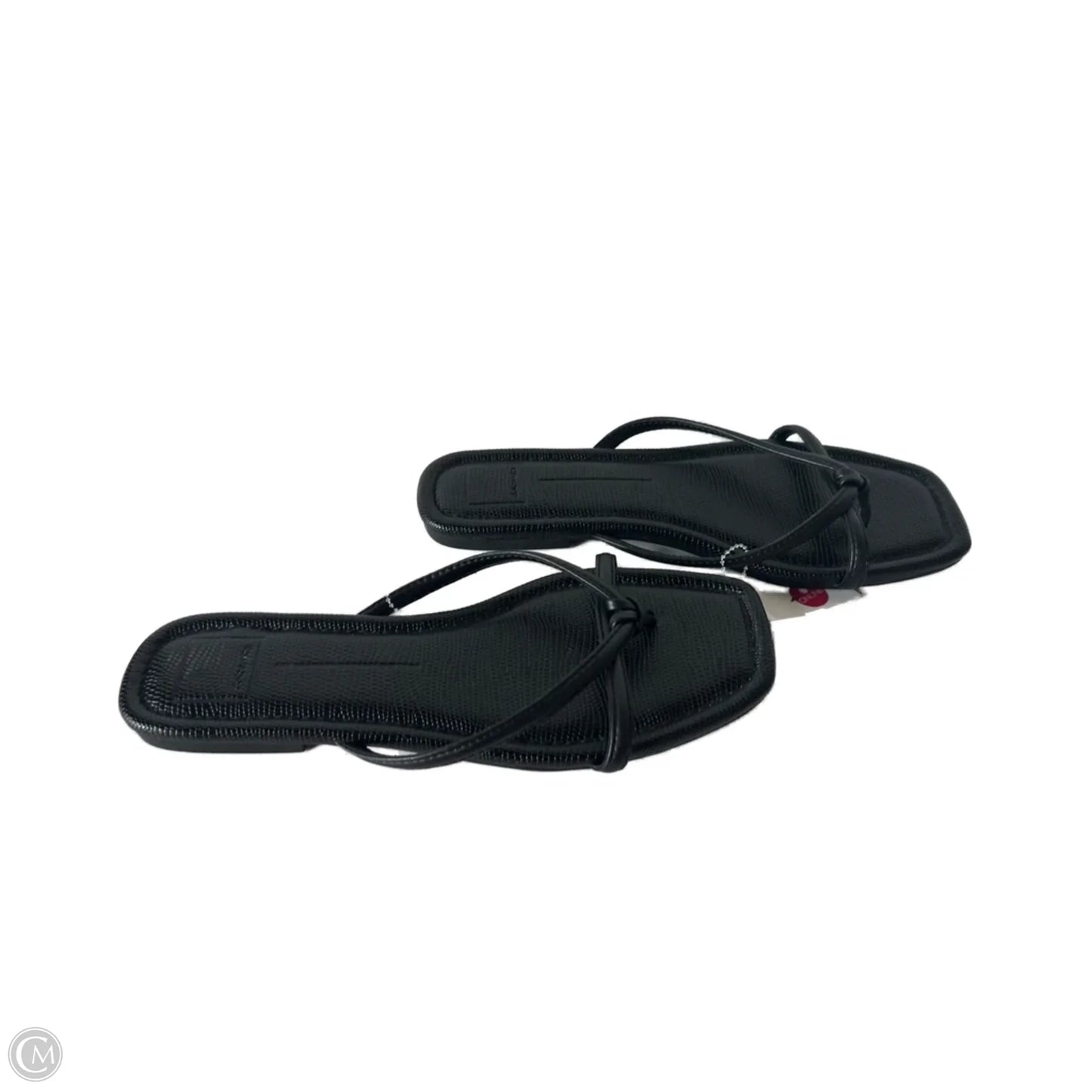 Sandals Flip Flops By Dolce Vita In Black, Size: 11