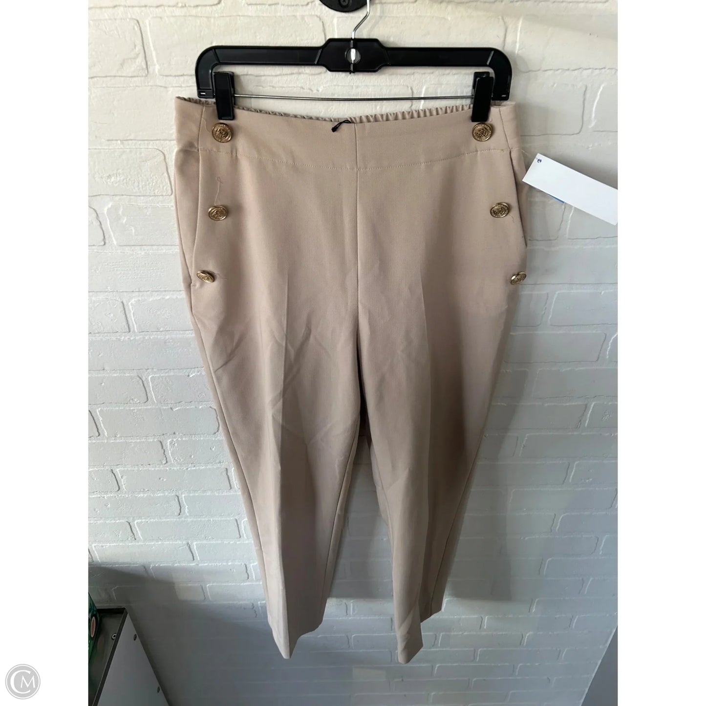 Pants Other By Zara In Tan, Size: 12