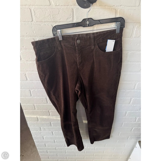 Pants Corduroy By St Johns Bay In Brown, Size: 16