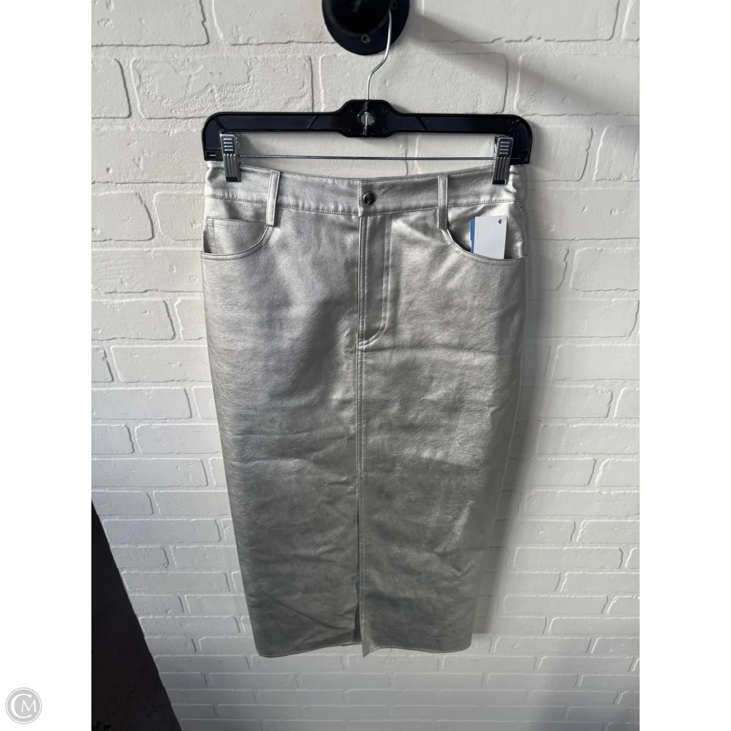 Skirt Midi By Wayf In Silver, Size: 0