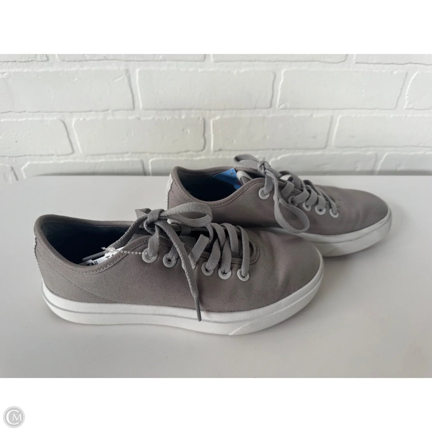 Shoes Sneakers By Allbirds In Grey, Size: 8