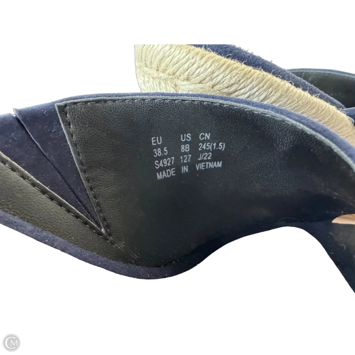Shoes Designer By Stuart Weitzman In Blue, Size: 8