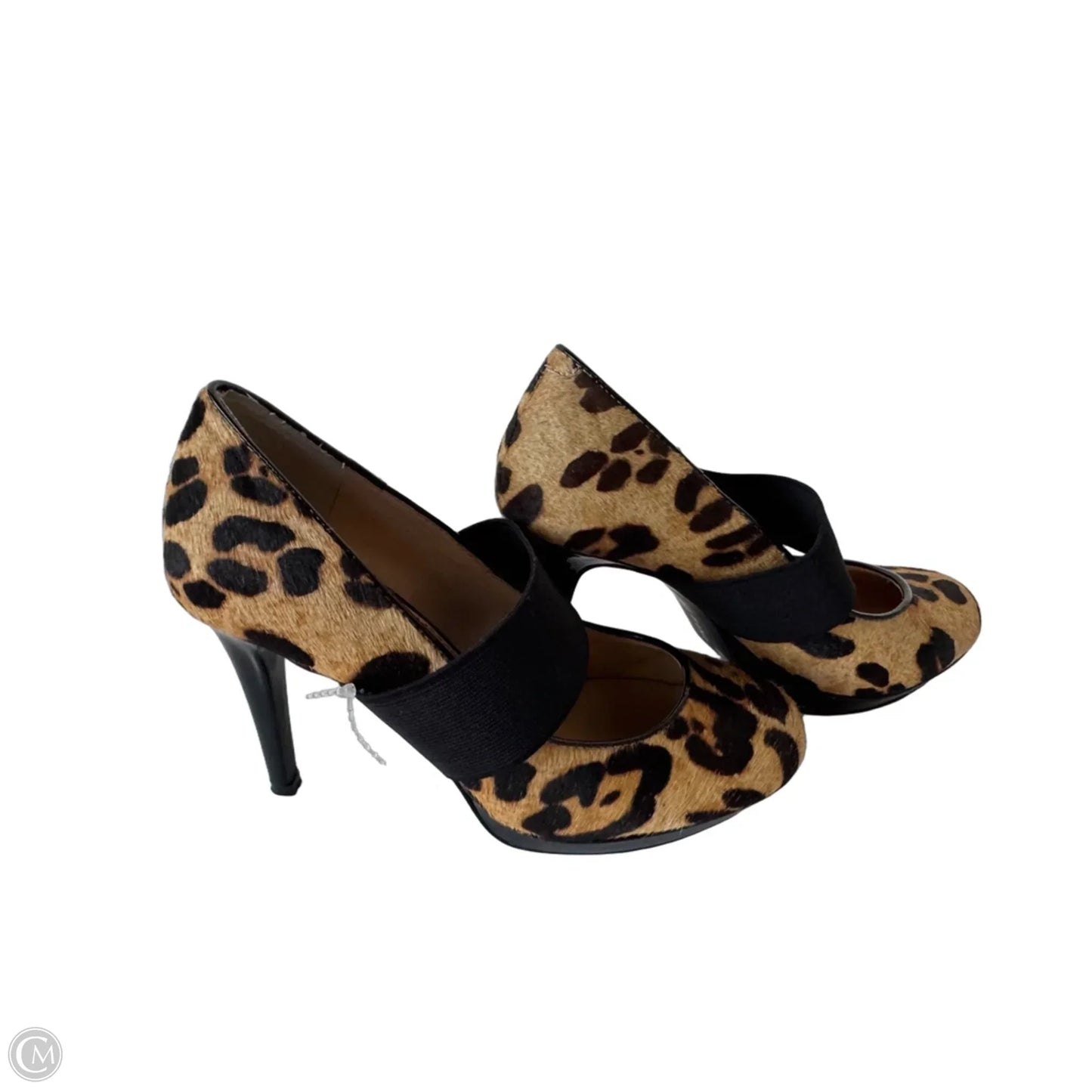 Shoes Heels Stiletto By Gianni Bini In Black & Tan, Size: 6