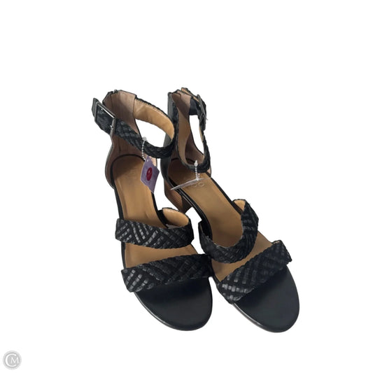 Sandals Heels Block By Franco Sarto In Black, Size: 11