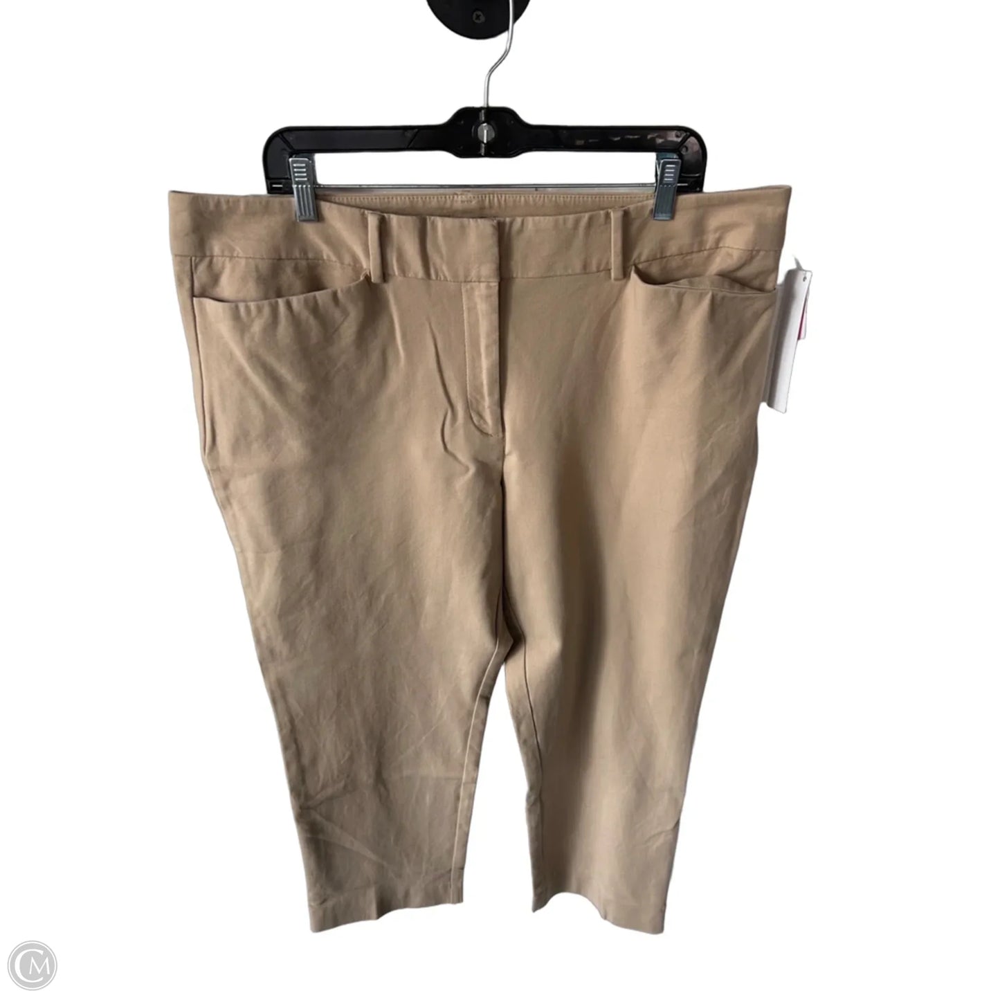 Pants Other By Ann Taylor In Tan, Size: 16