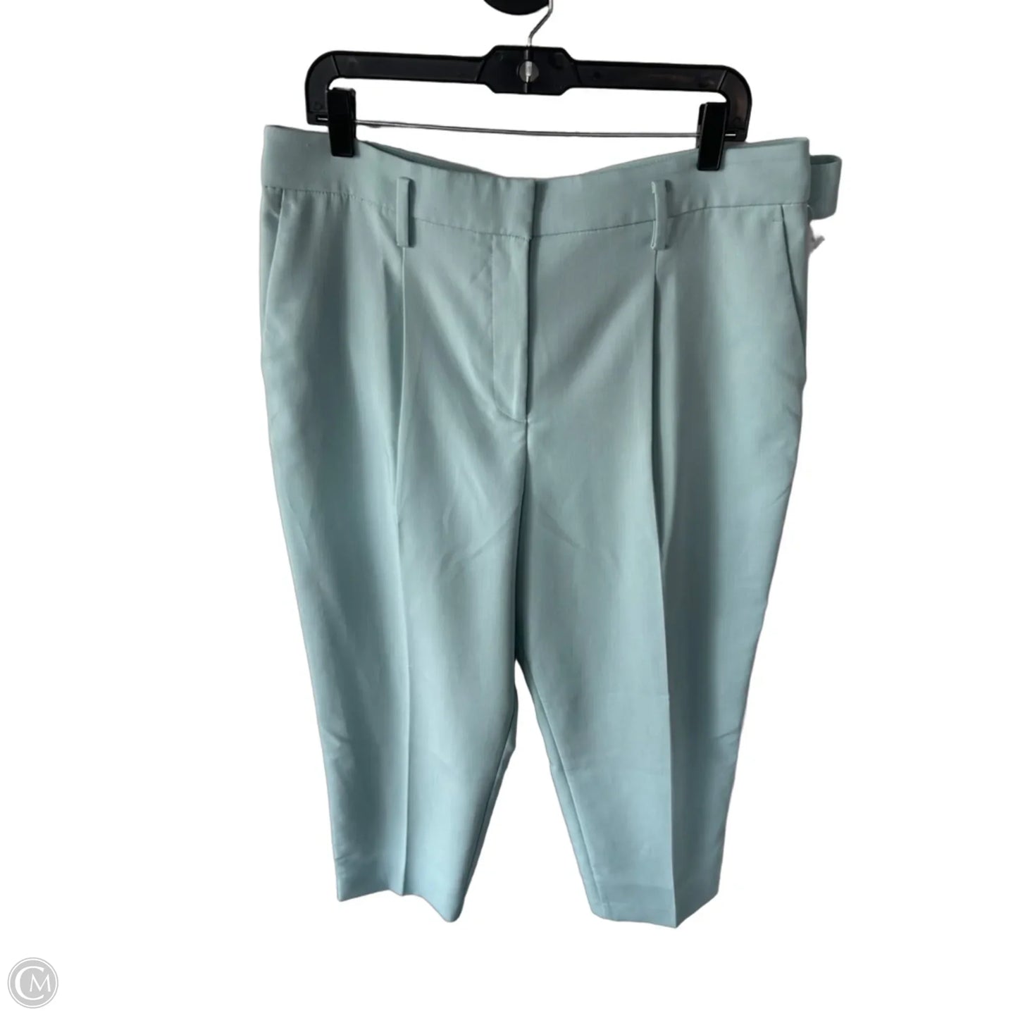 Pants Other By Ann Taylor In Blue, Size: 14