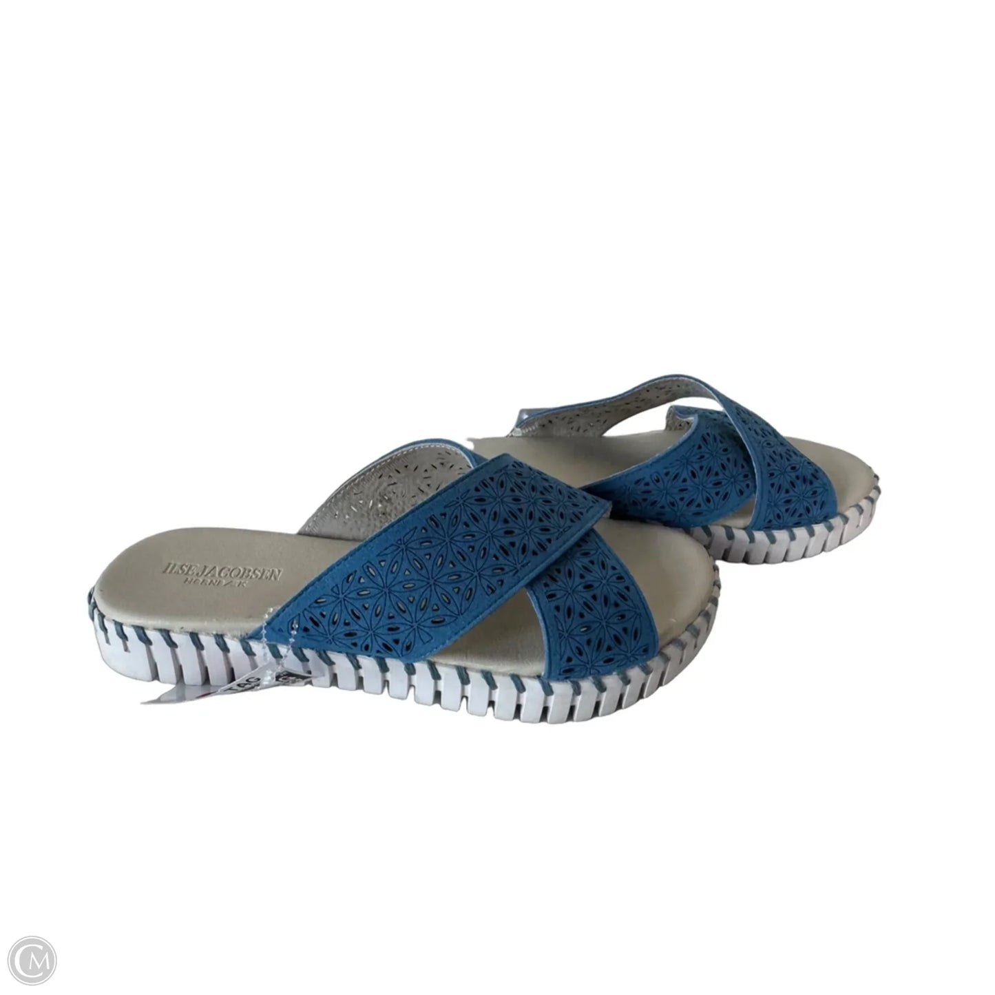 Sandals Flats By Cmb In Blue, Size: 9.5