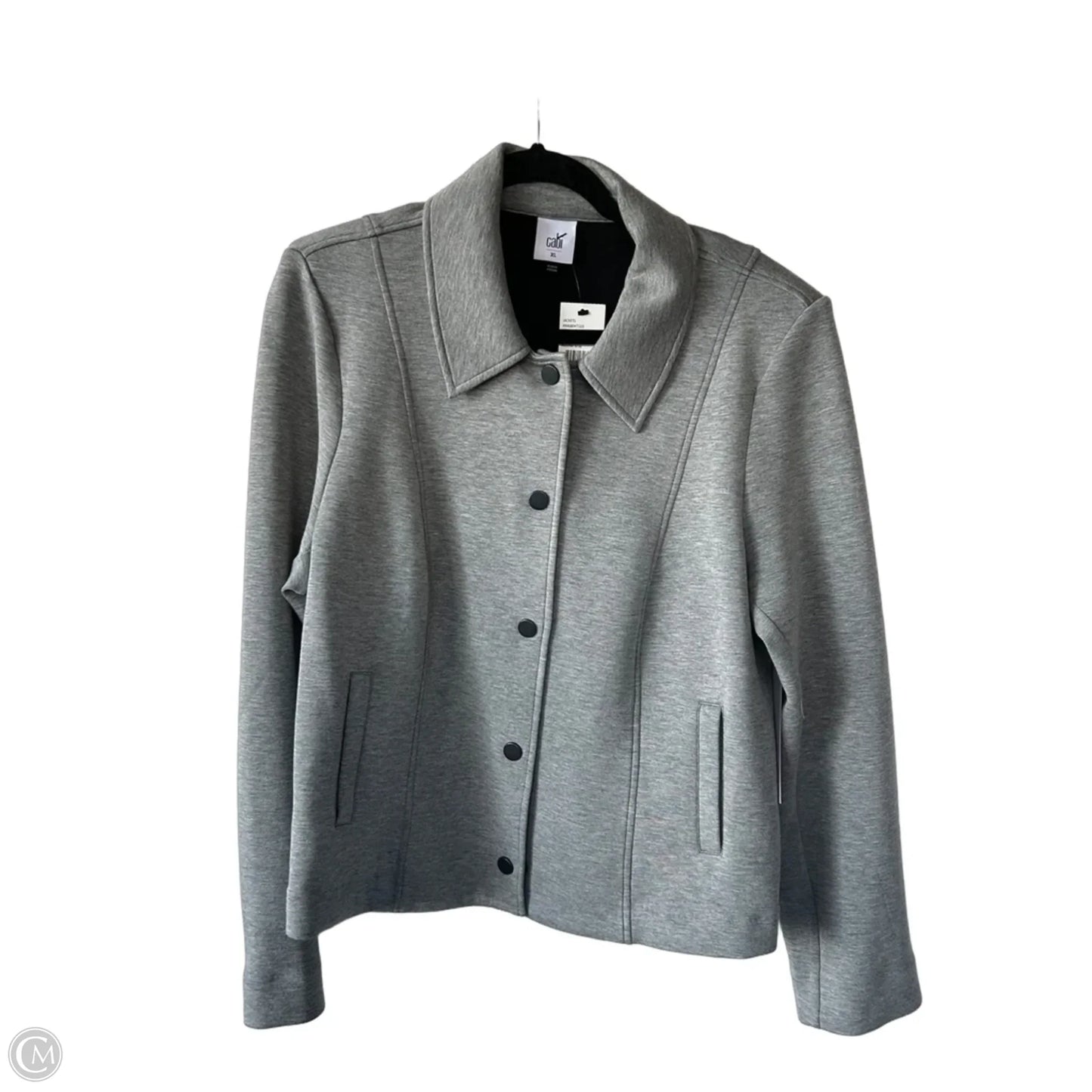 Jacket Other By Cabi In Grey, Size: Xl