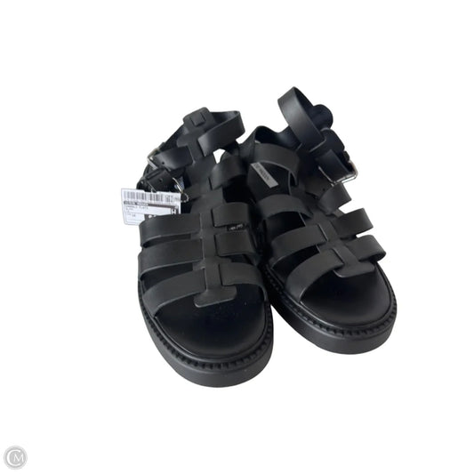 Sandals Flats By Steve Madden In Black, Size: 10