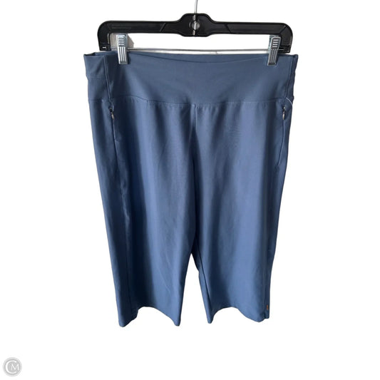 Athletic Pants By Lucy In Blue, Size: 8