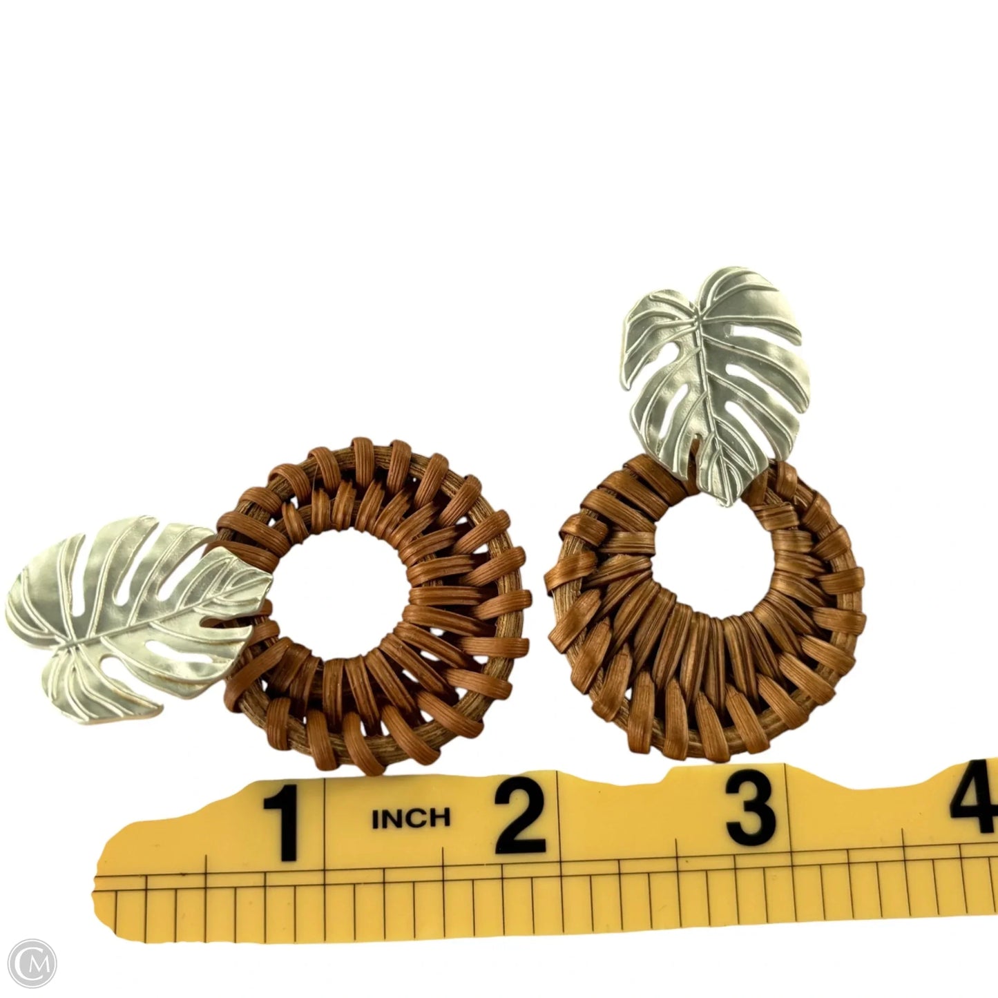 Earrings Dangle/drop