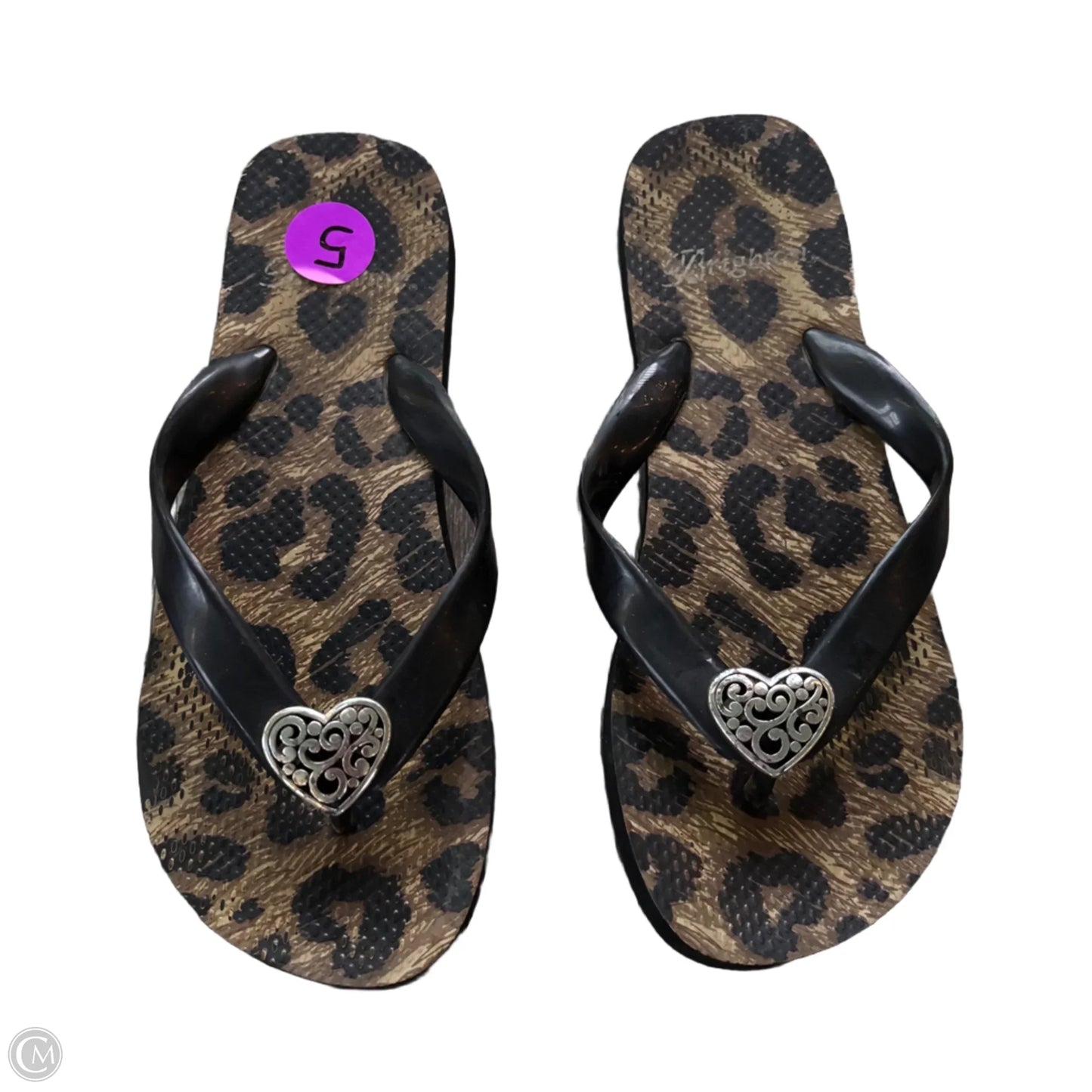 Sandals Flip Flops By Brighton In Animal Print, Size: 5