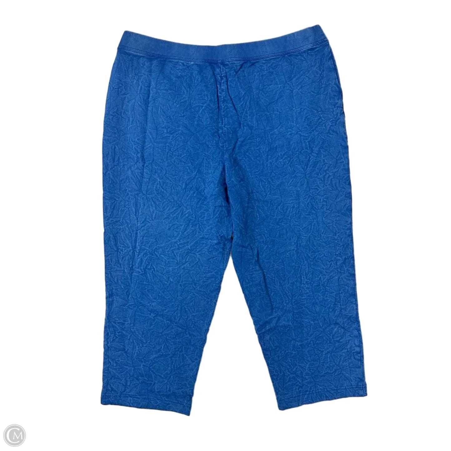 Athletic Pants By J. Jill In Blue, Size: Xlp
