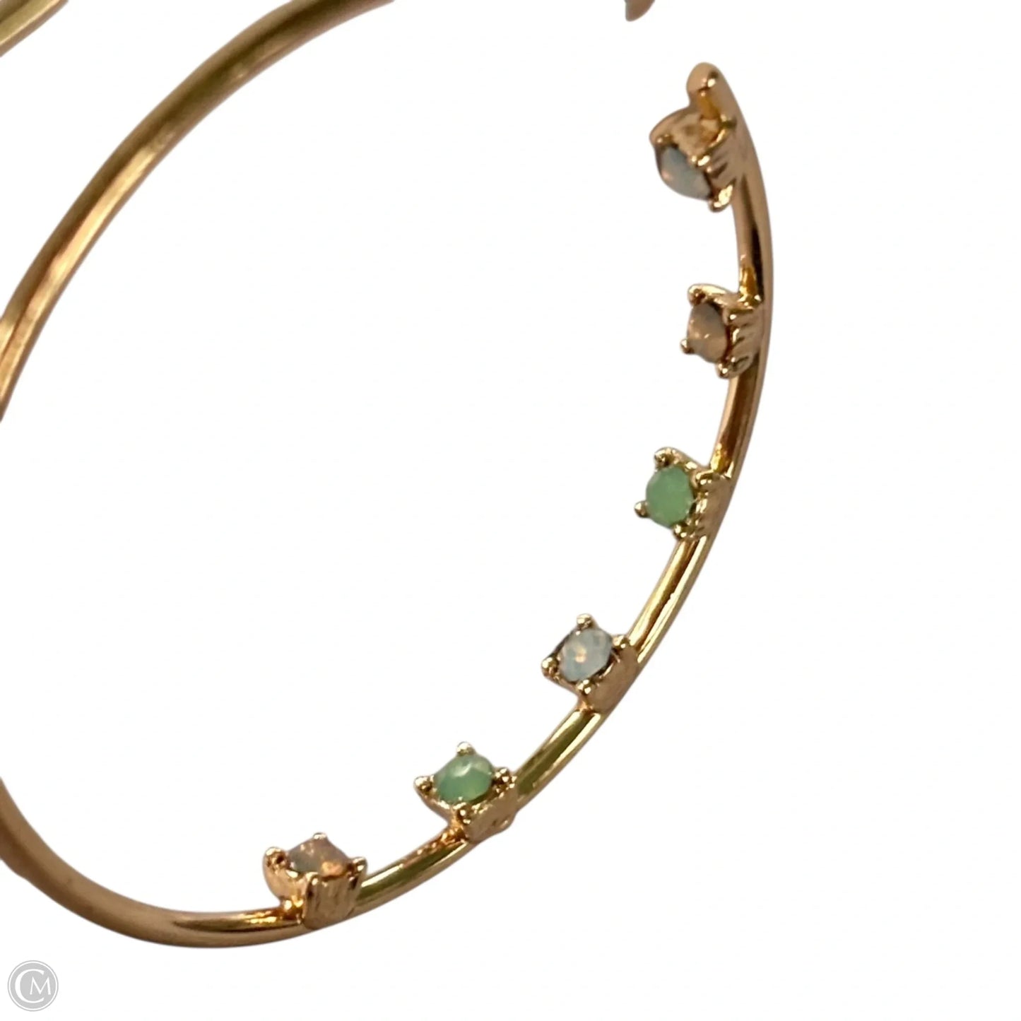 Earrings Hoop By Loft