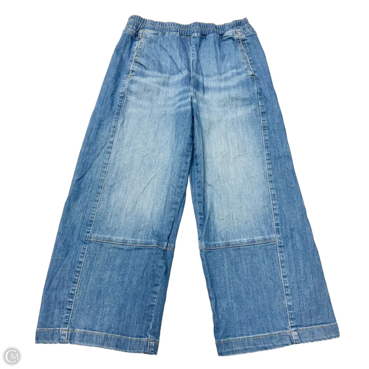 Jeans Wide Leg By Pilcro In Blue Denim, Size: M