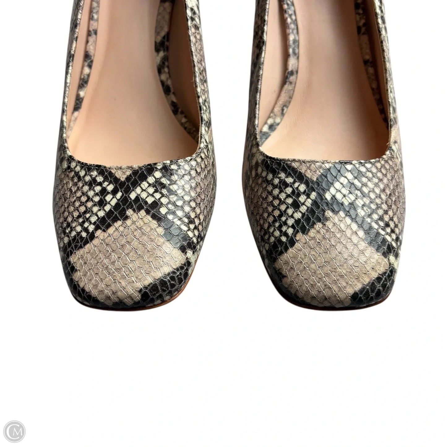Shoes Designer By Kate Spade In Snakeskin Print, Size: 8