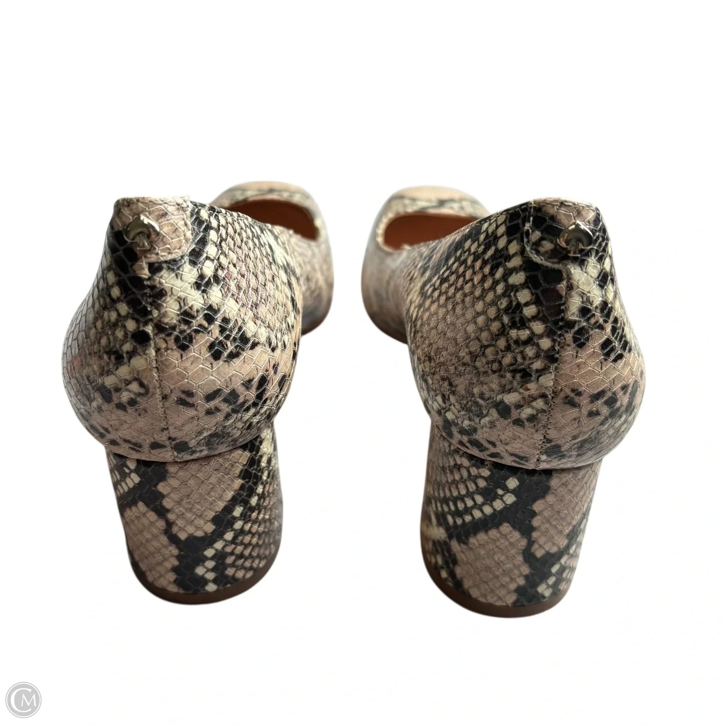 Shoes Designer By Kate Spade In Snakeskin Print, Size: 8
