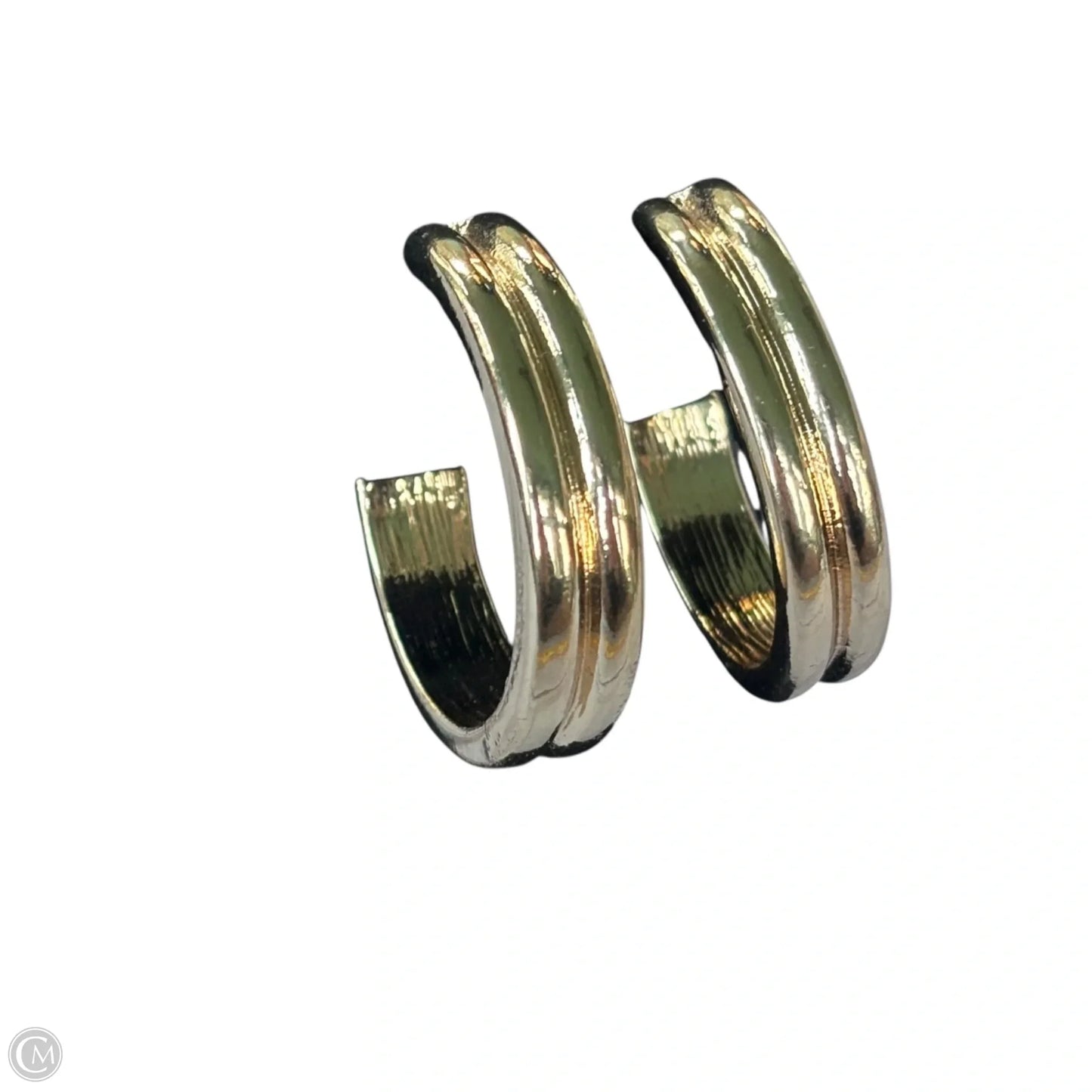 Earrings Hoop