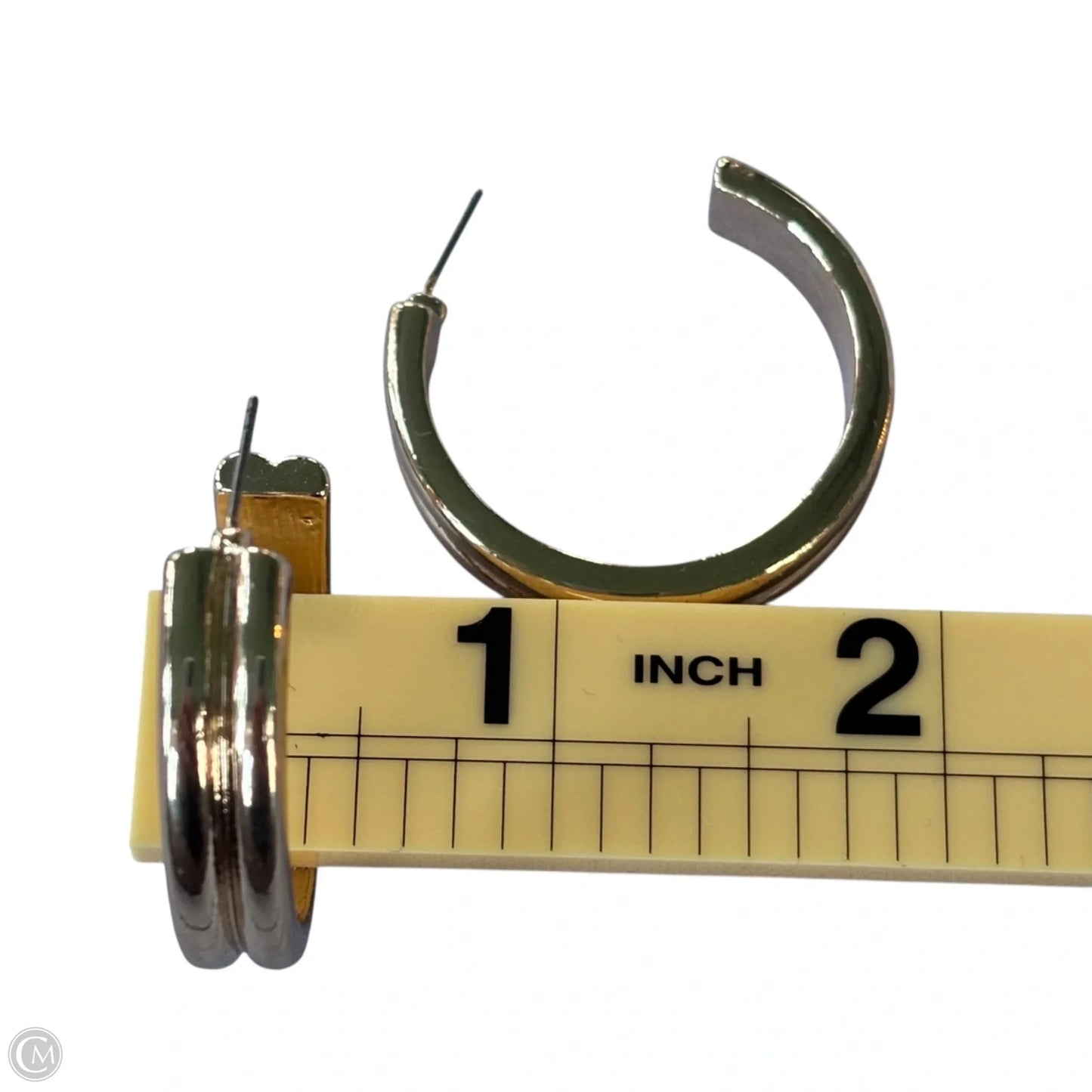 Earrings Hoop