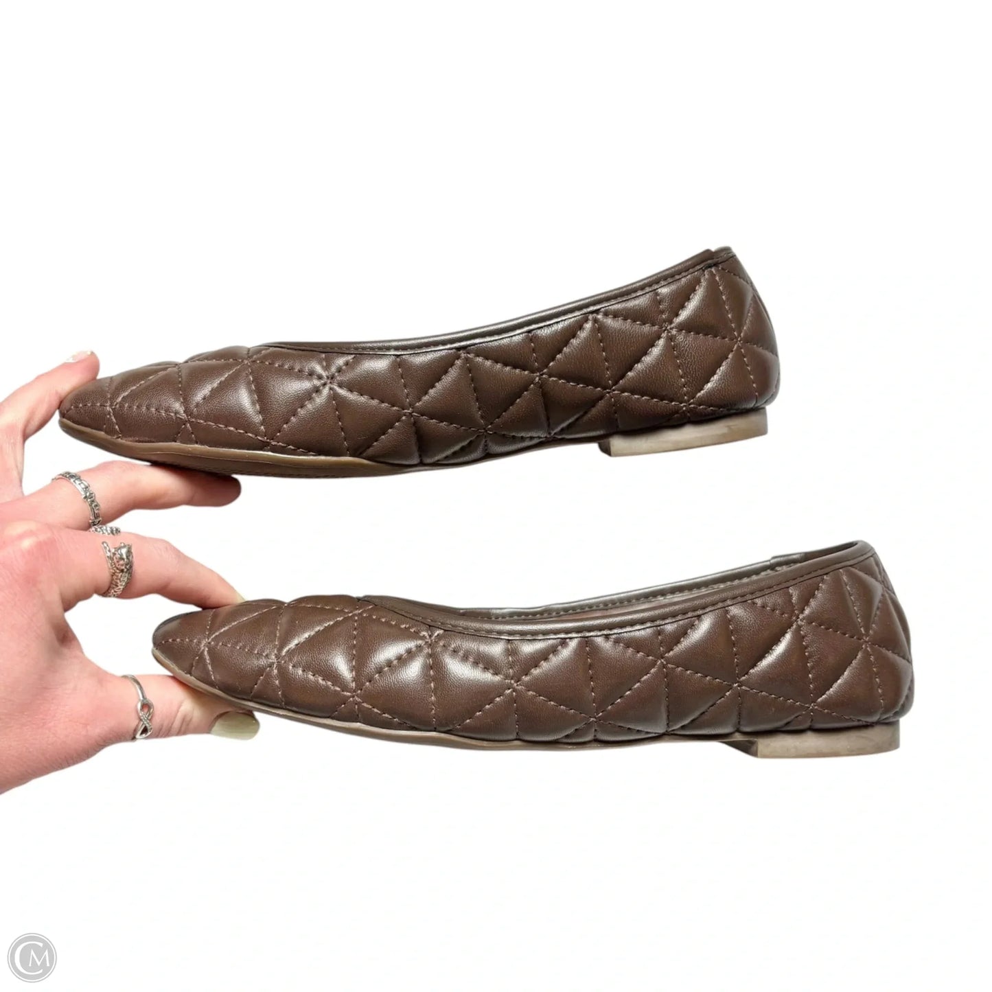 Shoes Flats By Schutz In Brown, Size: 8.5