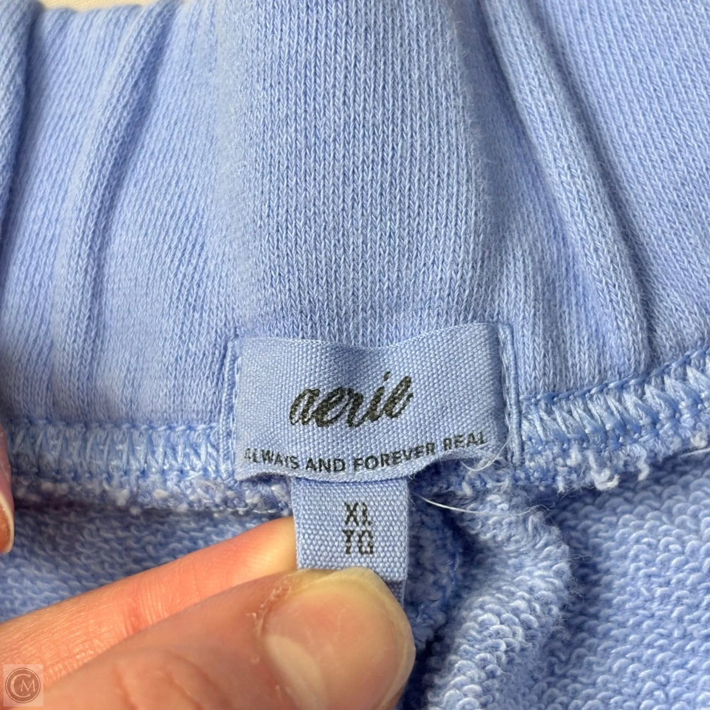 Shorts By Aerie In Blue, Size: Xl